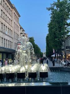 una fuente de agua en medio de una ciudad en Kęstučio 55, en Kaunas