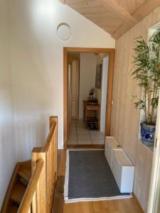 un couloir d'une maison avec un escalier et une plante dans l'établissement Naturnahe Familienwohnung, à Rüschegg-Graben