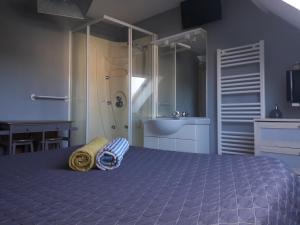 a bedroom with a bed with a shower and a sink at Chambres d'hôtes Sébastien in Ruaudin