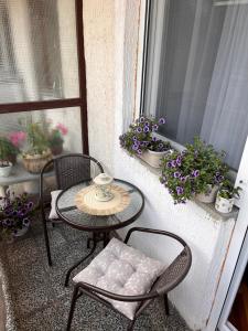 Balkón nebo terasa v ubytování Apartman Polo