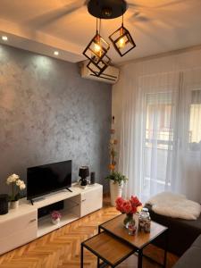 TV a/nebo společenská místnost v ubytování Apartman Polo