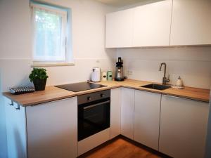 Kuchyň nebo kuchyňský kout v ubytování Ferienwohnung Lieblingszeit