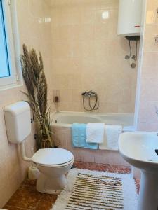 uma casa de banho com um WC, um lavatório e uma banheira em Miomir Perazic Apartments em Petrovac na Moru
