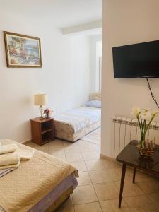 a bedroom with two beds and a tv on the wall at Miomir Perazic Apartments in Petrovac na Moru