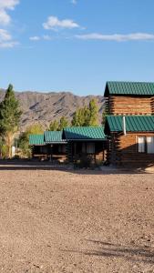 a log cabin with a green roof on a field at Naol village in Uspallata