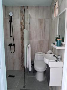 een badkamer met een douche, een toilet en een wastafel bij casa acogedora de 3 habitaciones in Santa Bárbara de Samaná