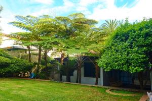 a house with palm trees and a yard at Hidden retreat in Kensington in Johannesburg