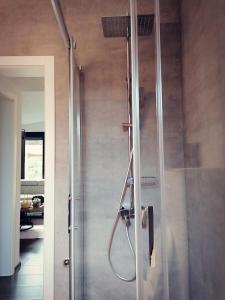 een douche met een glazen deur in een badkamer bij Vineyard Apartment in Ohrid