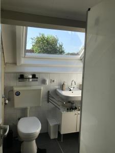 een badkamer met toilet, wastafel en raam bij Hei-d-Away in Otterlo +25 foto's