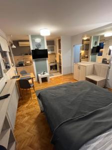 Η κουζίνα ή μικρή κουζίνα στο LEO Central Apartment