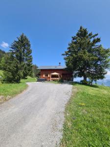 una casa en una colina con un camino de tierra en Burtscha Lodge im Sommer inklusive der Gästekarte Premium en Bürserberg