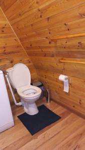 a bathroom with a toilet in a wooden wall at Jeżówka in Sasino