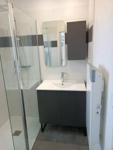 a bathroom with a sink and a shower at Les hirondelles au bord de l'eau in Guipry-Messac