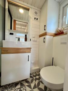 y baño con aseo y lavamanos. en Tiny House Gänseblümchen, en Kirchanschöring