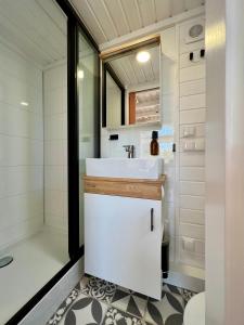 ein Bad mit einem Waschbecken und einer Dusche in der Unterkunft Tiny House Gänseblümchen in Kirchanschöring