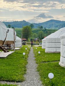 un chemin en gravier à travers un champ avec des tentes blanches dans l'établissement Glamping Iurte Mongole Spiritul Zimbrului, à Vama Buzăului