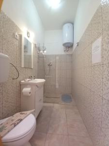 ein Bad mit einem WC, einem Waschbecken und einer Dusche in der Unterkunft La Nera in Sasca Română