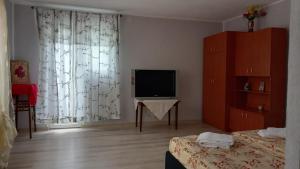 a living room with a television and a bed at La Nera cazare apartamente - camere in Sasca Română