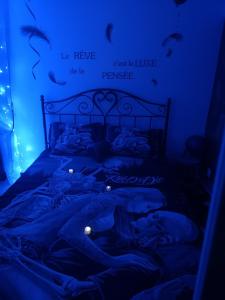 ein Schlafzimmer mit einem Bett in einem blauen Zimmer in der Unterkunft L'immortel gîte vintage avec ou sans spa in Cauchy-à-la-Tour