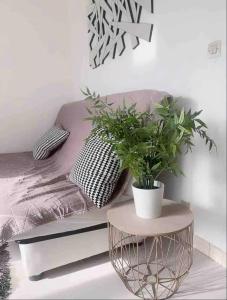 a bedroom with a bed with a plant on a table at Agréable studio (2) 27m2 Terrasse, Parking, Piscine in Saint-Laurent-du-Var