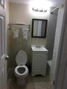 コーパスクリスティにあるSafari Inn Motelのバスルーム(トイレ、洗面台、鏡付)
