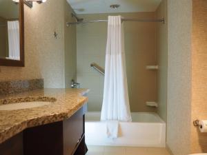 y baño con ducha, lavabo y bañera. en Kahler Grand Hotel, en Rochester