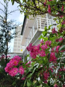a building with pink flowers in front of it at Hotel Niniko in K'obulet'i