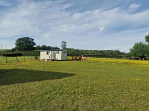 a trailer in a field with horses in the background at Cwtch Glamping Shepherds Huts in Abergavenny