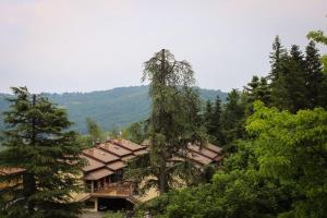 a building in the middle of a forest of trees at Wildwood Cottage in Serramazzoni