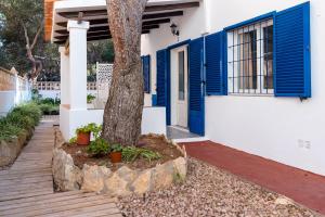 a tree in front of a house with blue shutters at Apartamentos Verdera Es Pujols in Es Pujols