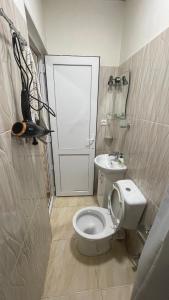 a bathroom with a white toilet and a sink at Tamara`s Apartament in Avlabari in Tbilisi City