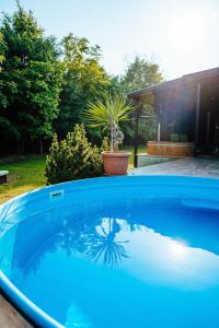 una gran piscina azul en un patio en Tátorján Vendégház en Balatonkenese