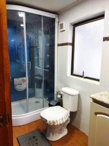 e bagno con servizi igienici e doccia in vetro. di Cabaña en Recinto con piscina y tinaja a Chillán