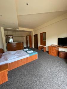 a bedroom with a large bed and a television at Vila Senator 1 in Eforie Nord