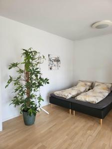 a bedroom with a bed and a potted plant at Cozy and bright apartment in Viby
