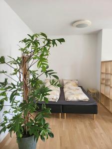 a room with a bed and a plant in it at Cozy and bright apartment in Viby