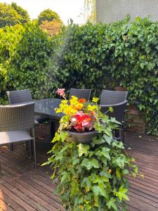 una mesa de patio y sillas con una maceta de flores en Domaine le Manoir, gîtes de charme et de caractère avec piscines privatisées et spa nordique, en Fossemagne