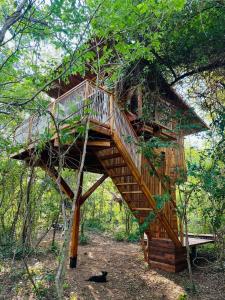 a tree house in the middle of a forest at Tamarindo Pura Selva Eco Tree House in Guatemala