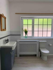 a bathroom with a toilet and a sink and a window at Sunset Cottage in Kenmare