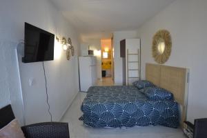 - une chambre avec un lit et une télévision dans l'établissement Studio Naturiste "JUL'S"Port Nature 401, au Cap d'Agde