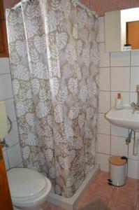 y baño con cortina de ducha, aseo y lavamanos. en Αndreas Studios en Ypsos