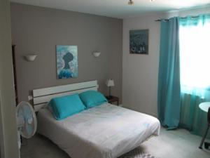 オーベにあるAu Coeur De L Olivetteのベッドルーム1室(青い枕2つ付きのベッド1台付)