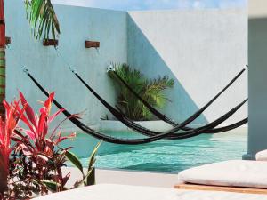 una hamaca colgada en una pared junto al agua en Sofía Boutique Condos by Bunik en Playa del Carmen