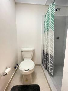 a white bathroom with a toilet and a shower at Departamento en Centro Ciudad de México Alameda Reforma in Mexico City