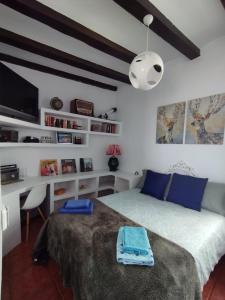 a bedroom with a bed and a desk at Penthouse Pza España - 4th Floor in Barcelona