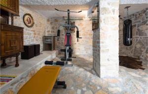 Zimmer mit einem Fitnessraum mit einer Bank und einem Kamin in der Unterkunft Stunning Home In Lovinac With Wifi in Lovinac