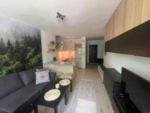 uma sala de estar com um sofá e uma cozinha em Kasprusie 10 by Homeprime em Zakopane