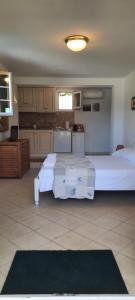 サントロペにあるVilla Playa del Sol -B4のベッド2台、キッチンが備わる広い客室です。