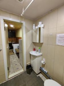 a bathroom with a toilet and a sink at Žalioji in Paduyelis