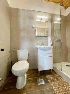 a bathroom with a toilet and a sink and a shower at Villa Bea Panzió in Zamárdi